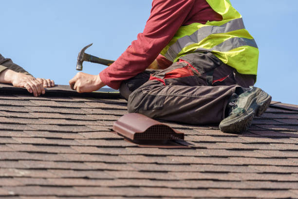 Best Storm Damage Roof Repair  in Oak Grove, AL